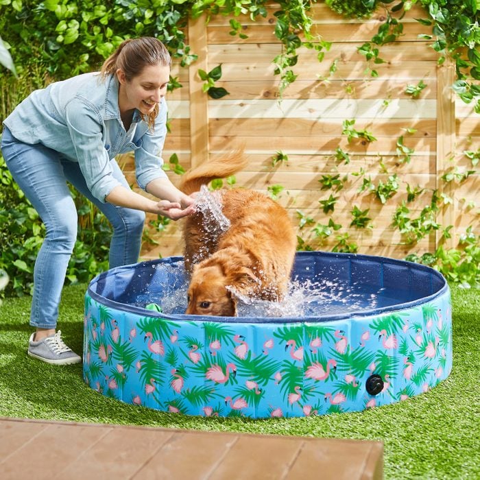 Frisco Outdoor Dog Pool
