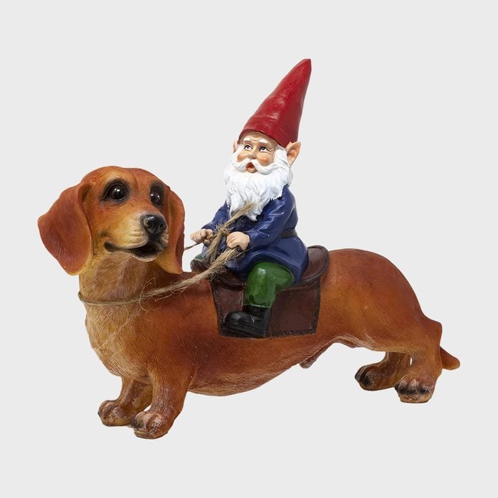 Funny Guy Mugs Gnome And A Dachshund Garden Gnome Statue Ecomm Via Amazon.com