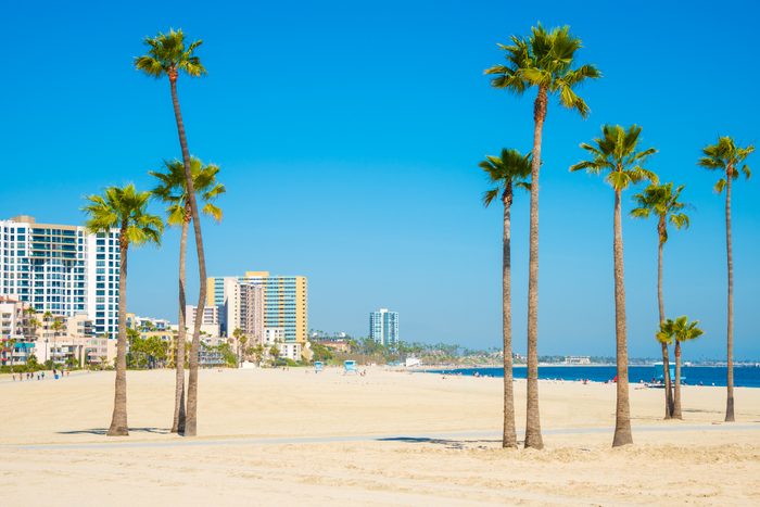 Long Beach California skyline, beach, palm trees