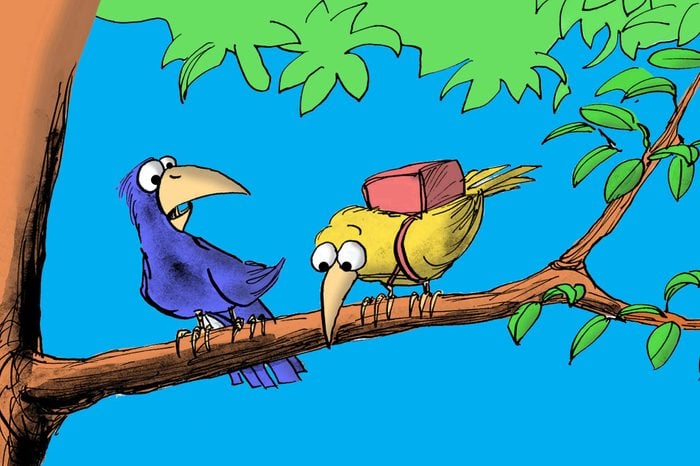 Cartoon illustration of two birds, one is surprised the other is scared to fly and is wearing a parachute.