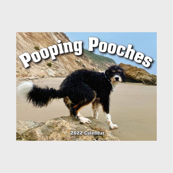Pooping Pooches White Elephant Gag Gift Calendar Ecomm Via Amazon.com