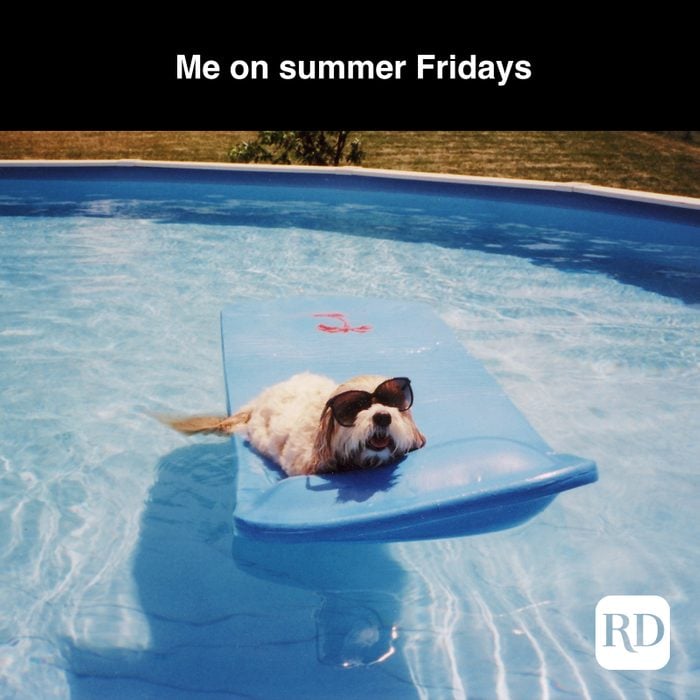 35 Best Summer Memes to Share for Summer 2022 | Reader's Digest