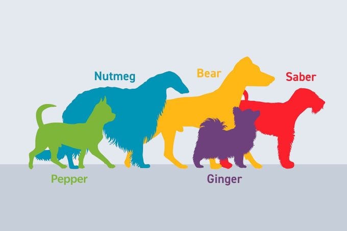 Five dog illustrations labeled by name