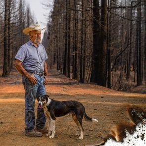 Fifth generation cattle rancher Dave Daley and his dog, Newt, poses for a portrait in the North Complex West Fire burn area in the Tahoe National Forest