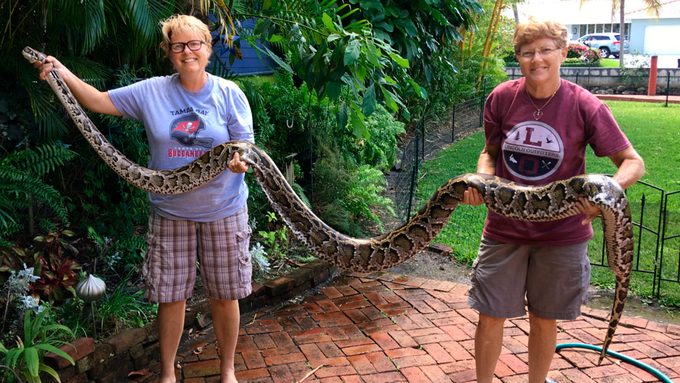 Peggy Van Gorder (left) and Beth Koehler hold up one of their captures. From 2017 to July of last year, professional snake hunters caught 5,000 snakes. The largest was 18 feet long.