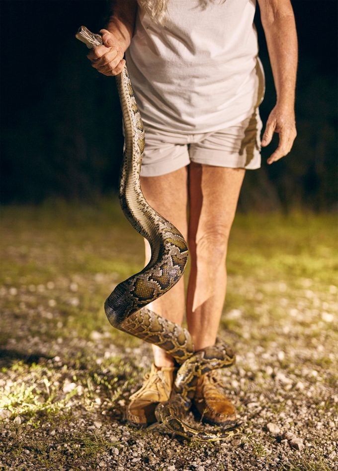 A Burmese python curls around Anne Gorden-Vega’s leg.