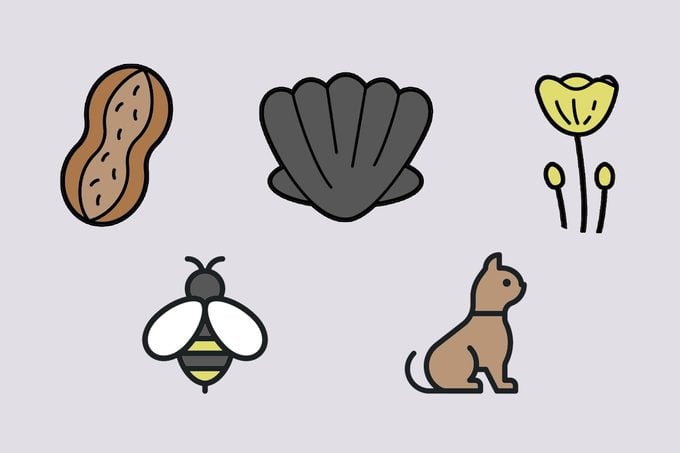 Peanut, shellfish, flower, bee, and cat icons
