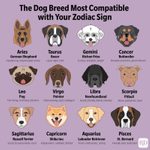 This Is the Dog Breed That’s Most Compatible with Your Zodiac Sign