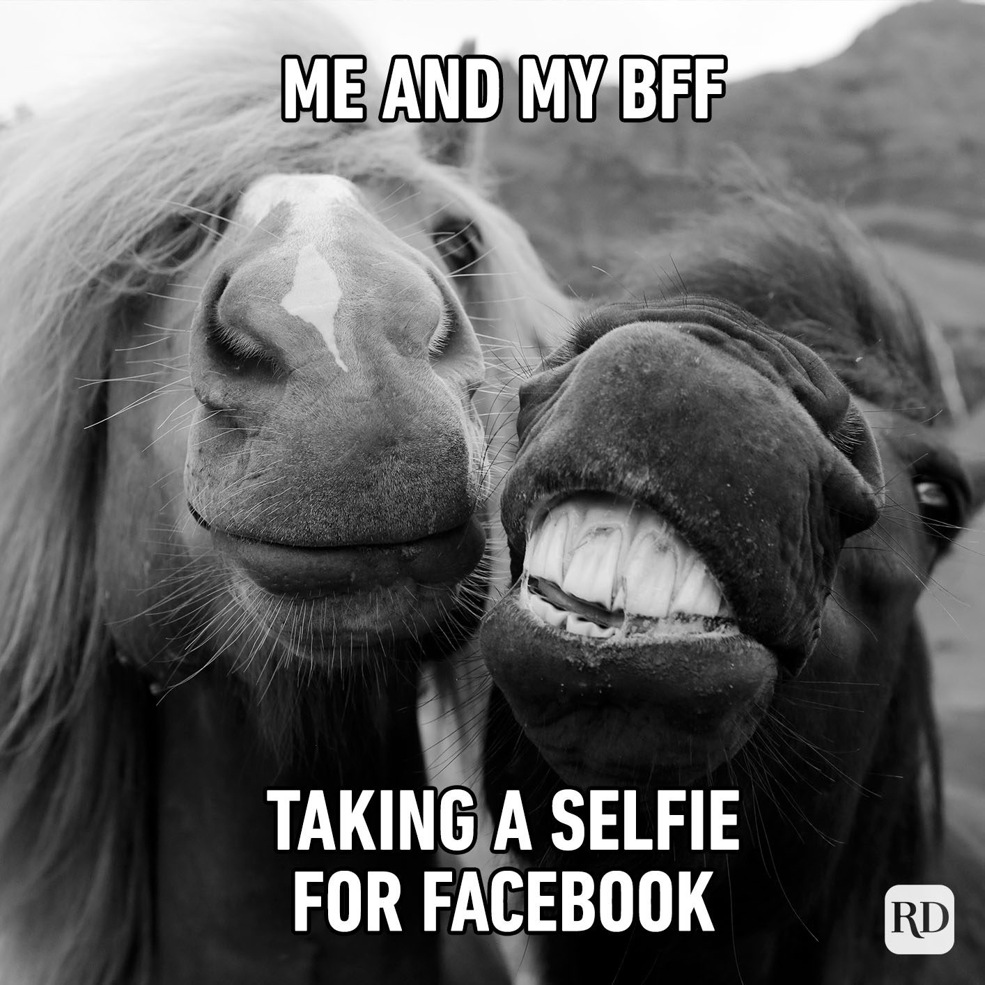 Me and my best friend taking a selfie for Facebook