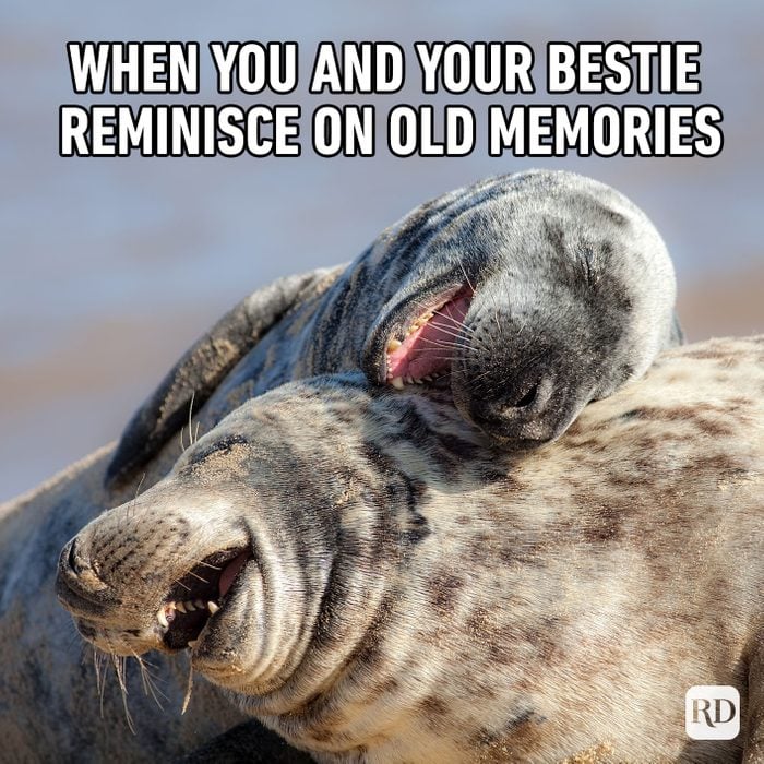 Meme text: When you and your bestie reminisce on old memories