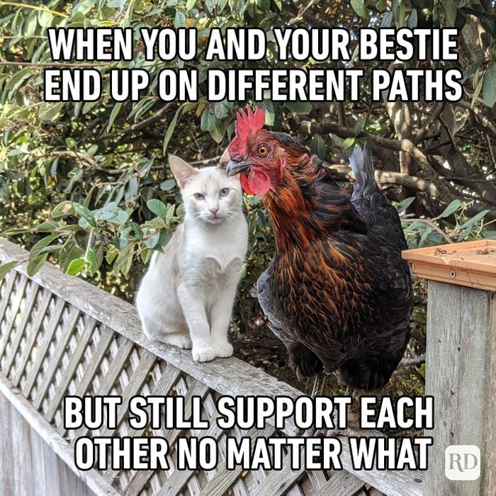 When you and your bestie end up on different paths but still support each other no matter what