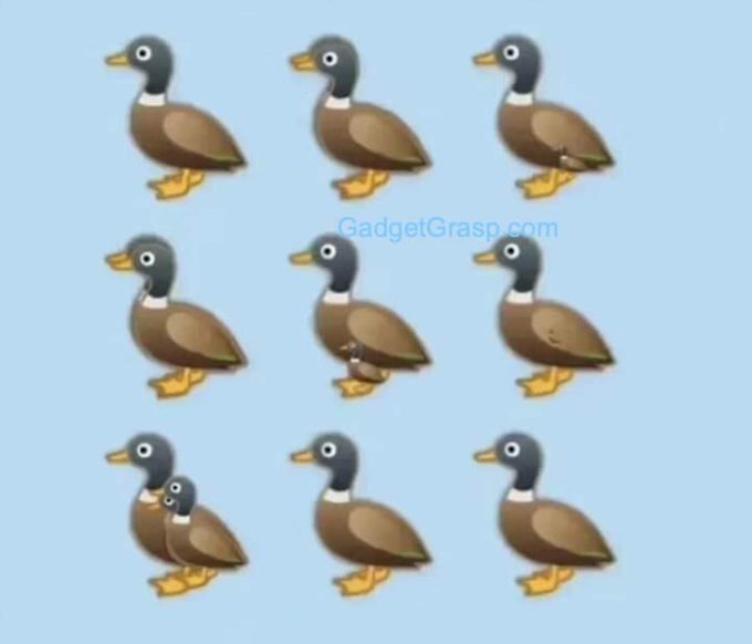 "How many ducks do you see?" puzzle image