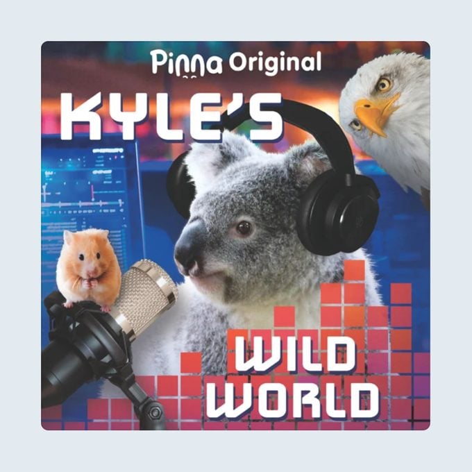Kyle's Wild World Podcast