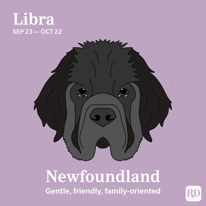 Libra: Newfoundland