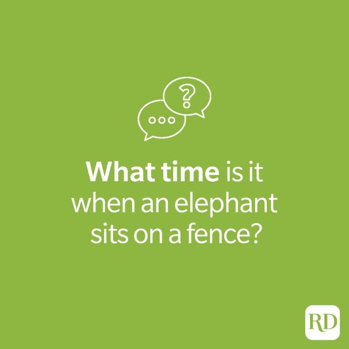Riddle: What time is it when an elephant sits on a fence?