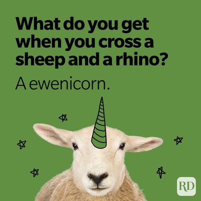 what do you get when you cross a sheep and a rhino? a ewenicorn.