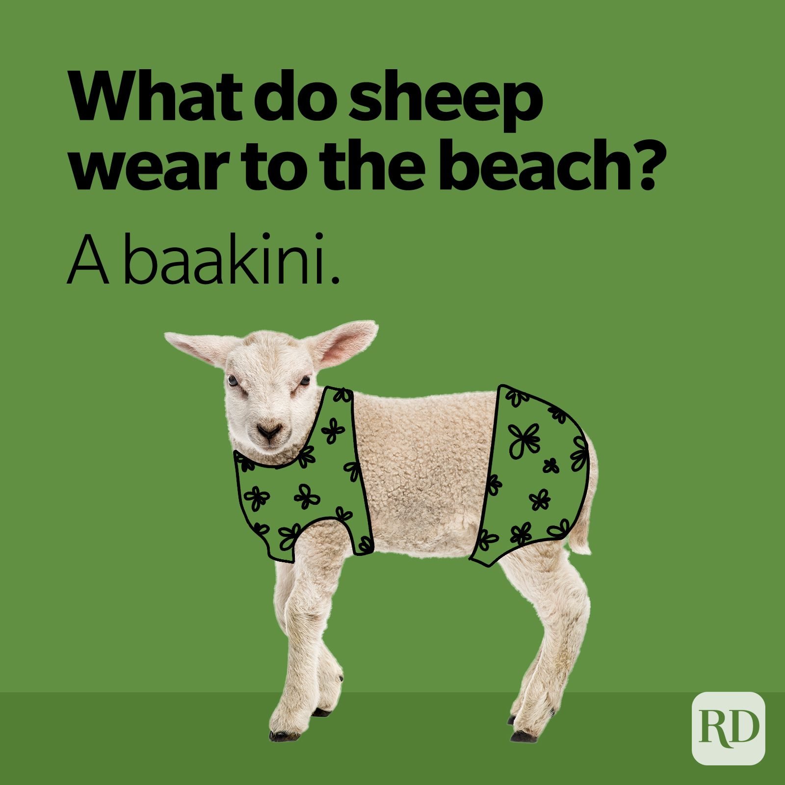 36 Sheep Puns You Haven't Herd Before | Reader's Digest