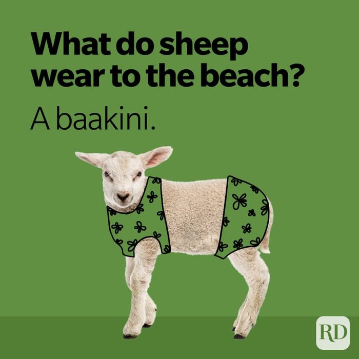 what do sheep wear to the beach? a baa-kini