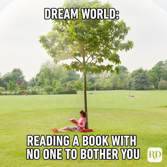 Dream World Reading A Book With No One To Bother You