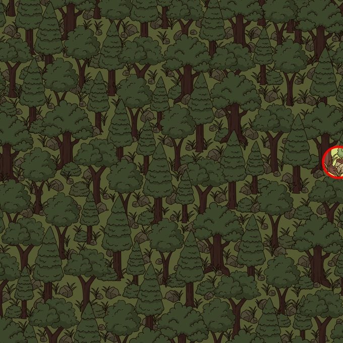 Find The Hidden Hedgehog Puzzle Solution
