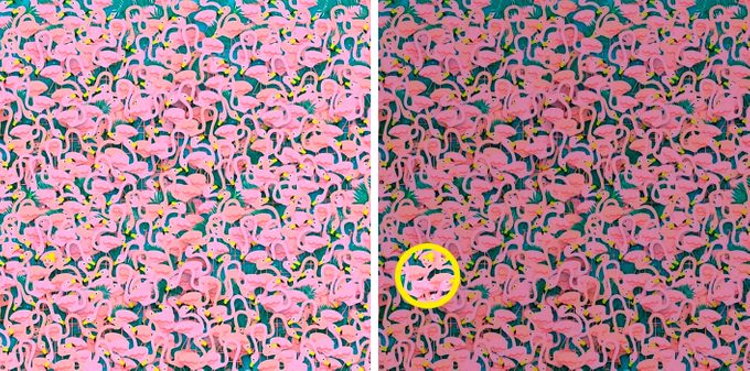 Encontre o dançarino entre o quebra-cabeça flamingos ao lado da imagem da solução