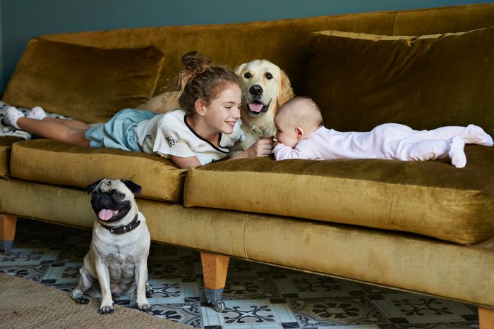 young girl and baby on couch at home with golden retriever and pug dogs