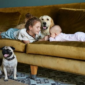 young girl and baby on couch at home with golden retriever and pug dogs