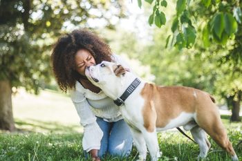 Happy woman with affectionate bulldog at park