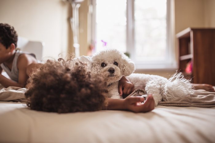 young children with their bichon frise dog at home