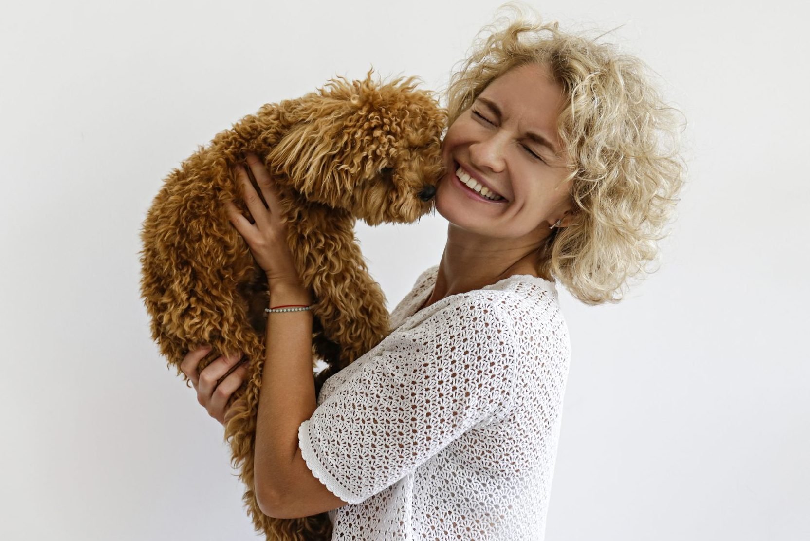 5 of the Most Adorable Goldendoodle Haircuts To Try On Your Curly-Haired  Cutie