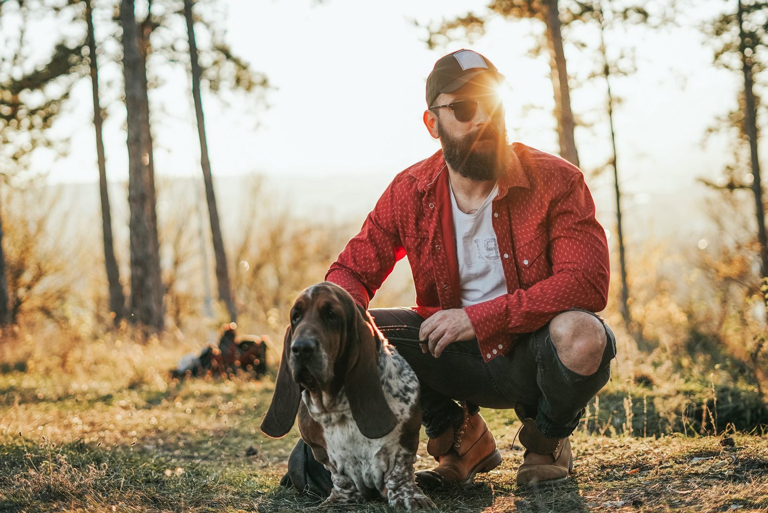 Portrait of Bearded man with a basset hound dog in nature