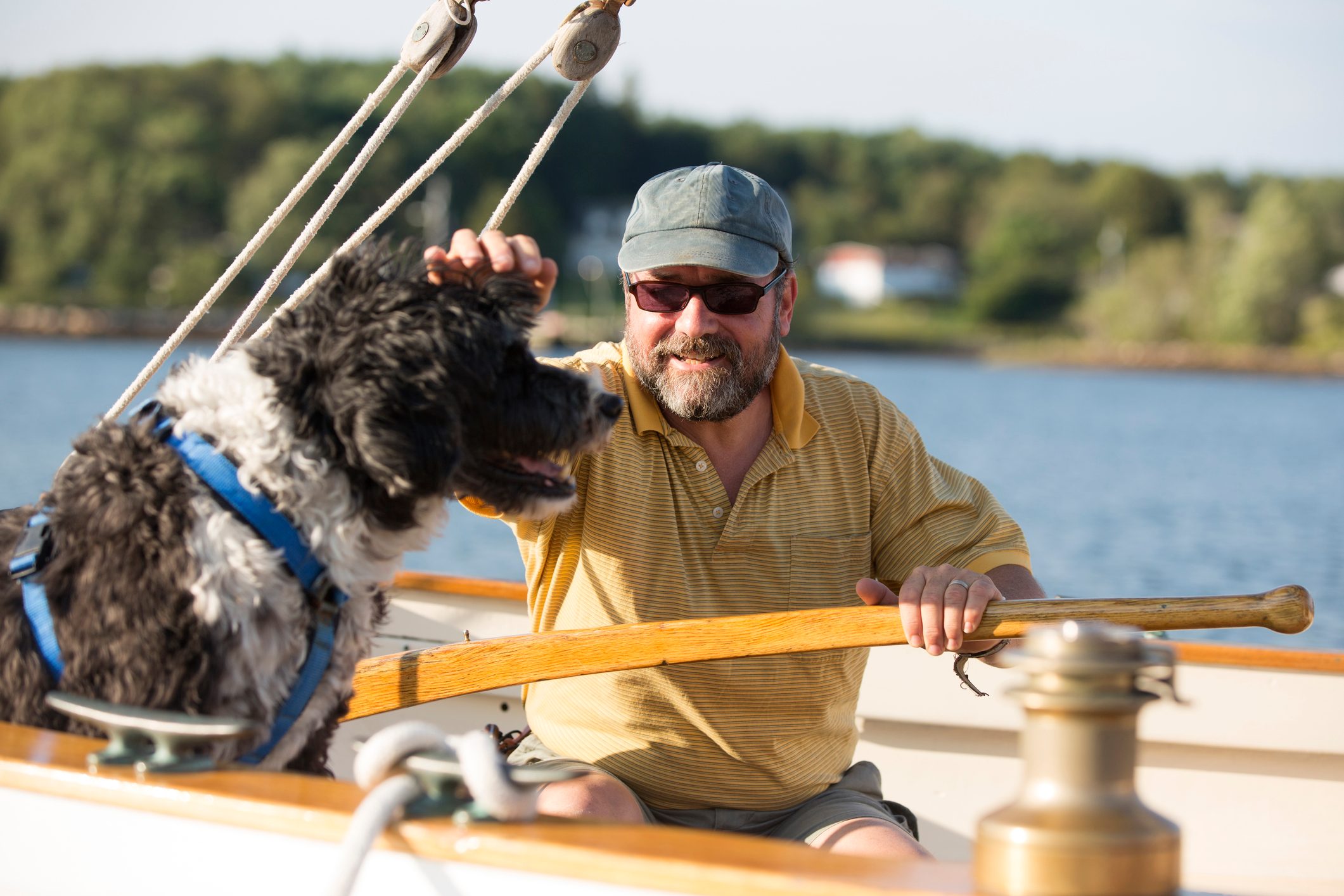 Man and his Portuguese water dog on a sailboat