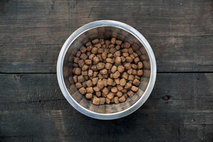 Bowl with dog food