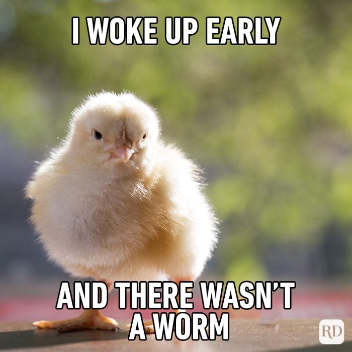 I Woke Up Early And There Wasn’t A Worm