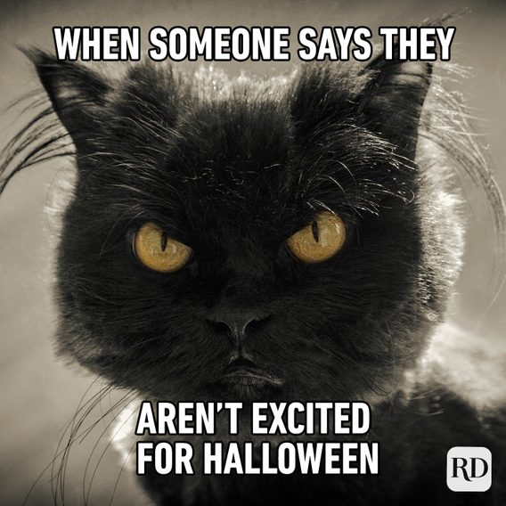 20 Best Halloween Memes 2022 | Reader's Digest