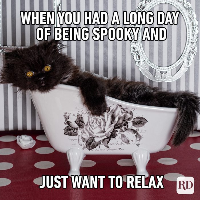 When You Had A Long Day Of Being Spooky And Just Want To Relax