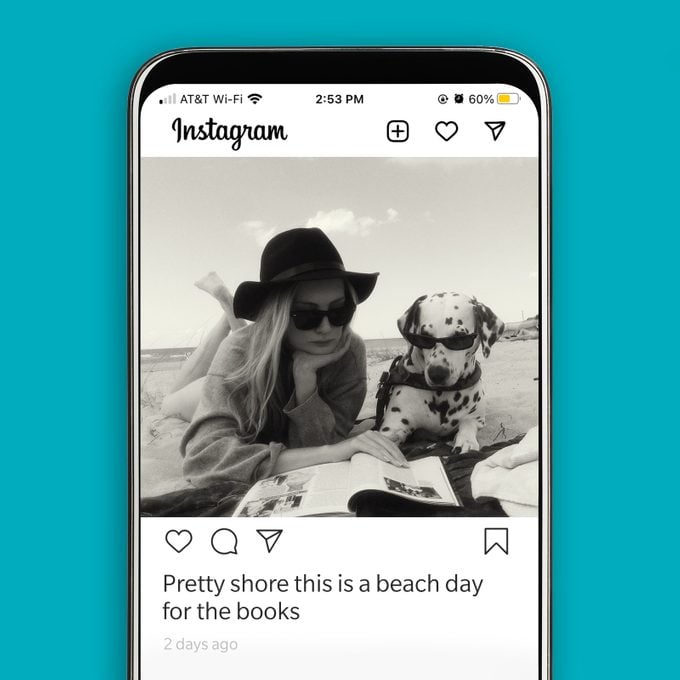 instagram screenshot displaying a woman and her Dalmatian reading at the beach with a punny beach caption