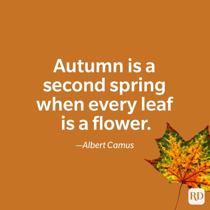 fall quote by Albert Camus