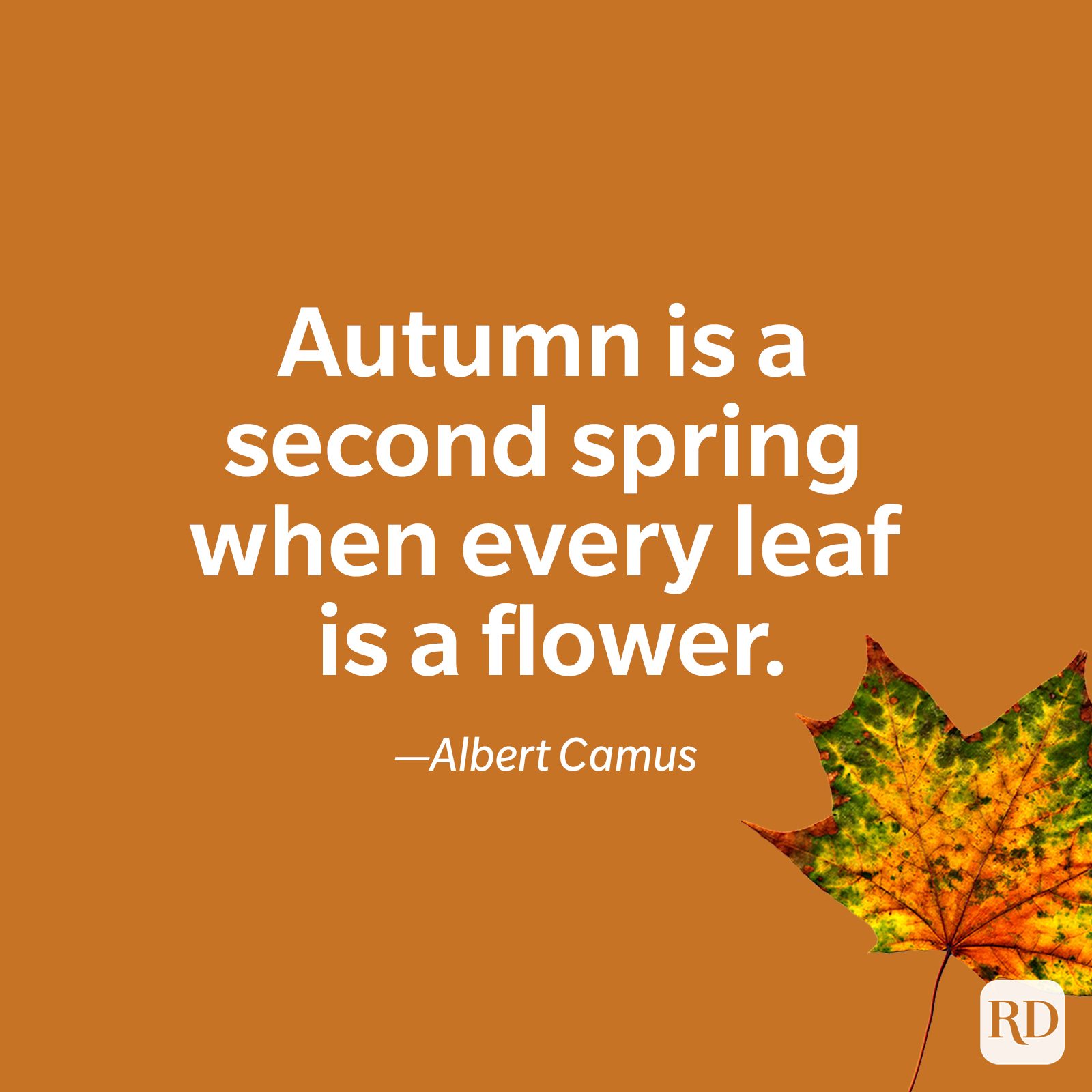 50 Best Fall Quotes You'll Absolutely Love [2021]