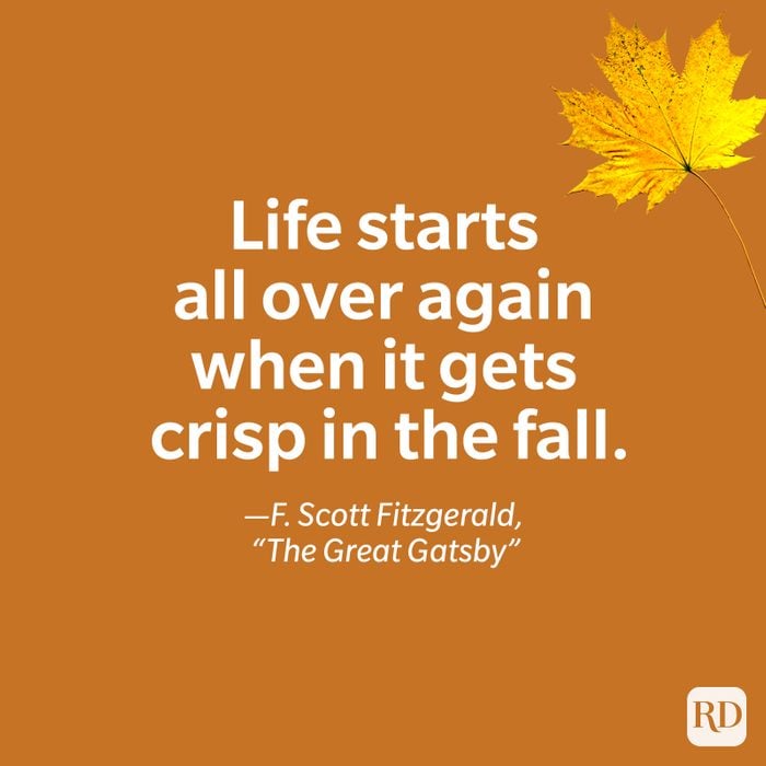 fall quote by F. Scott Fitzgerald, The Great Gatsby