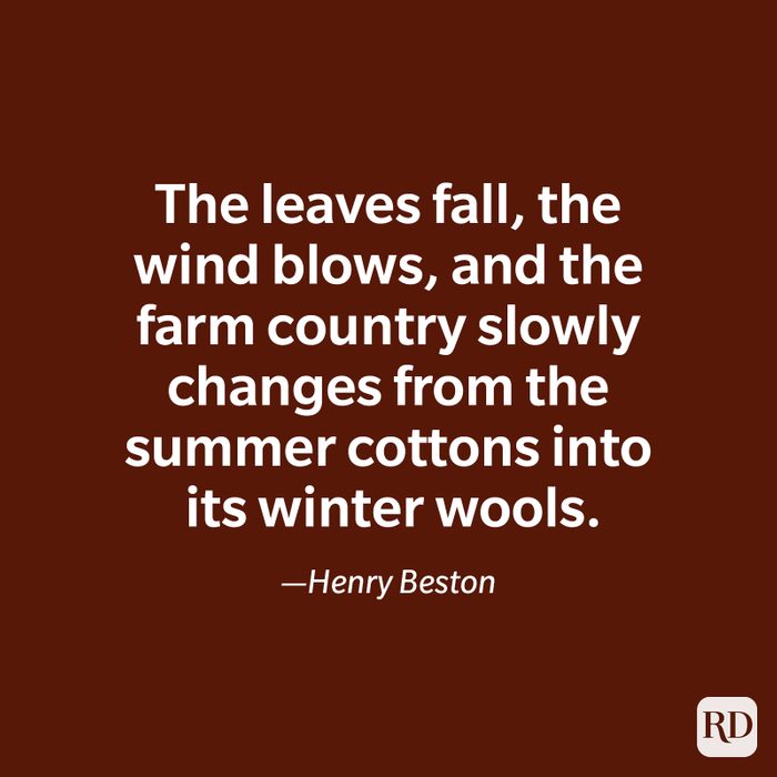 Henry Beston quote