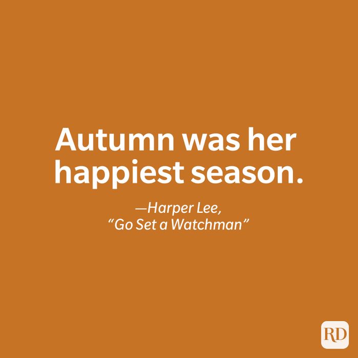 fall quote by Harper Lee, Go Set a Watchman