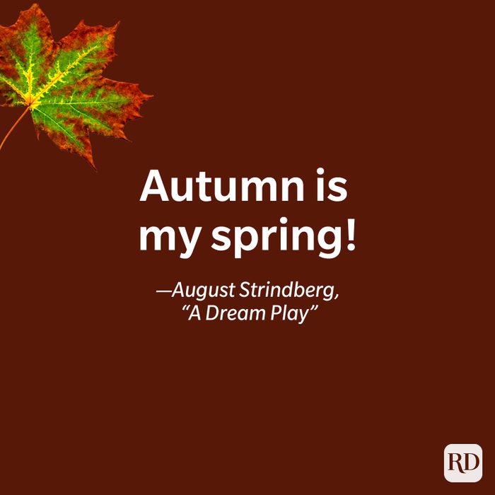 fall quote by August Strindberg, A Dream Play
