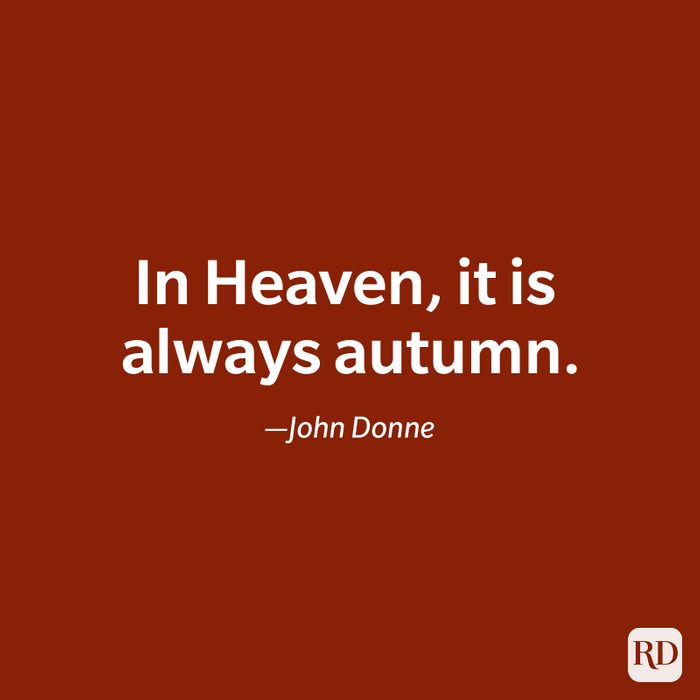 fall quote by John Donne