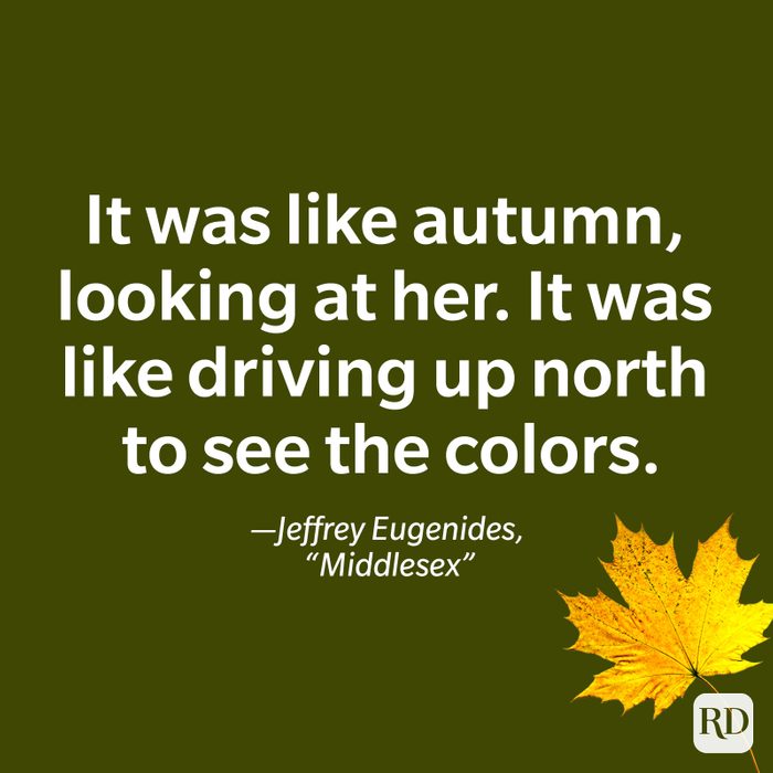fall quote by Jeffrey Eugenides, Middlesex