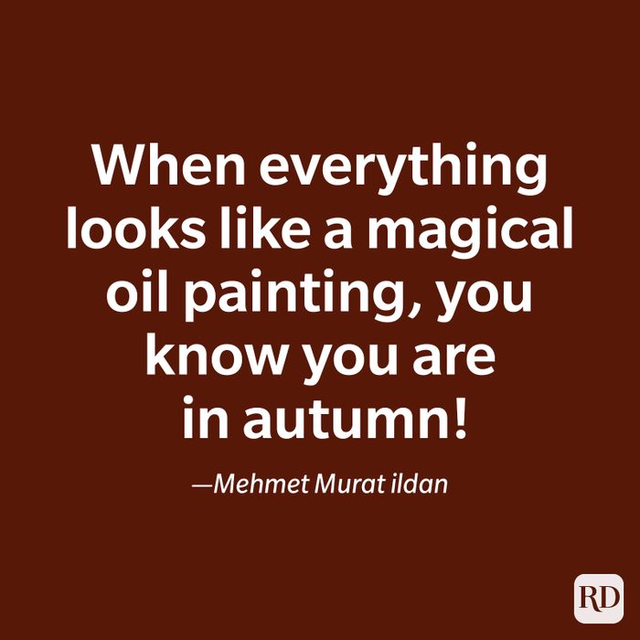 fall quote by Mehmet Murat ildan