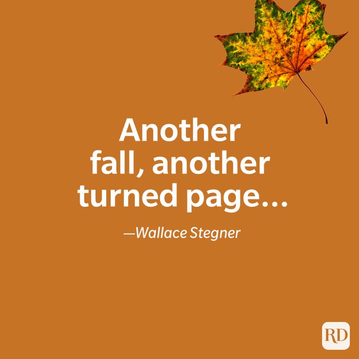 fall quote by Wallace Stegner