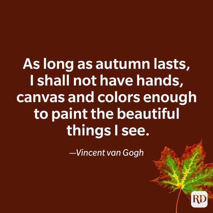 fall quote by Vincent van Gogh