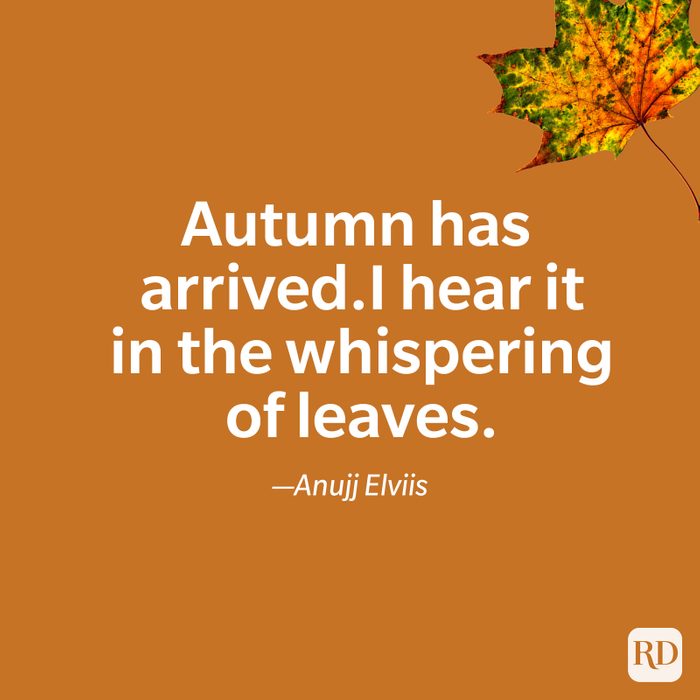 fall quote by Anujj Elviis