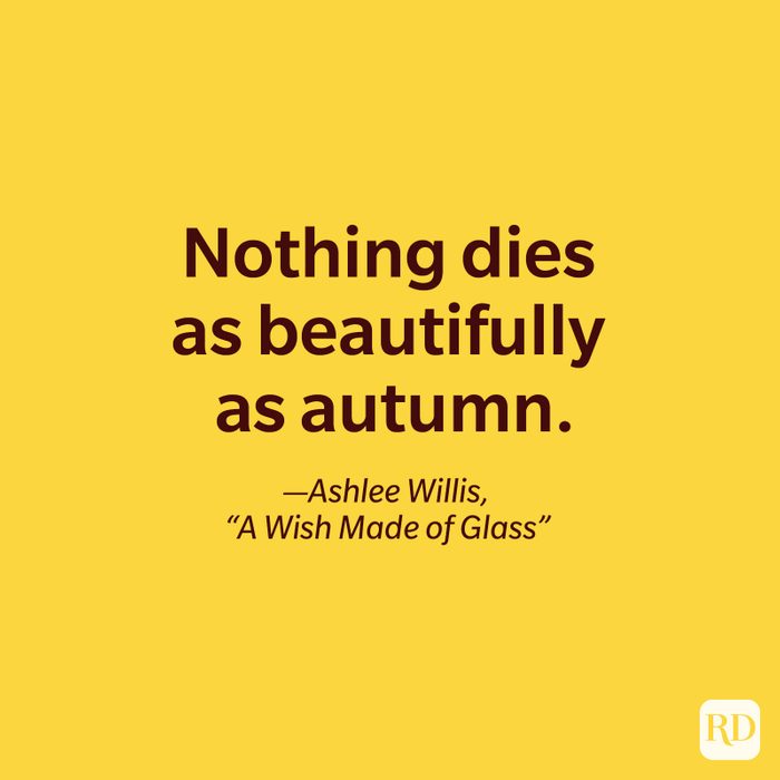 fall quote by Ashlee Willis, A Wish Made of Glass